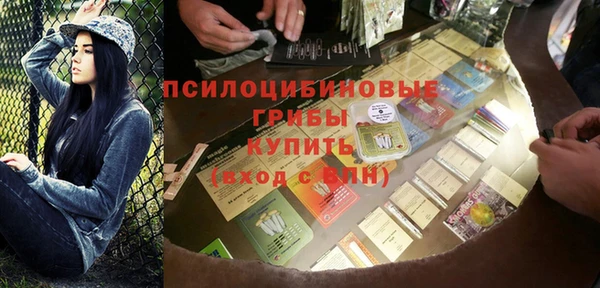 бошки Алексин