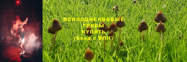 шишки Алзамай