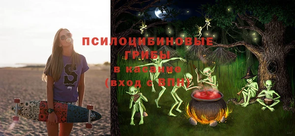 бошки Алексин