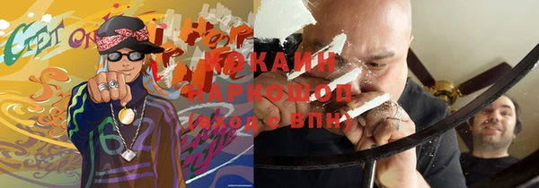 бошки Алексин