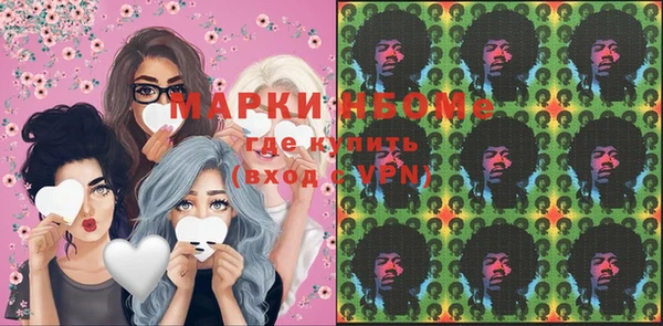 шишки Алзамай